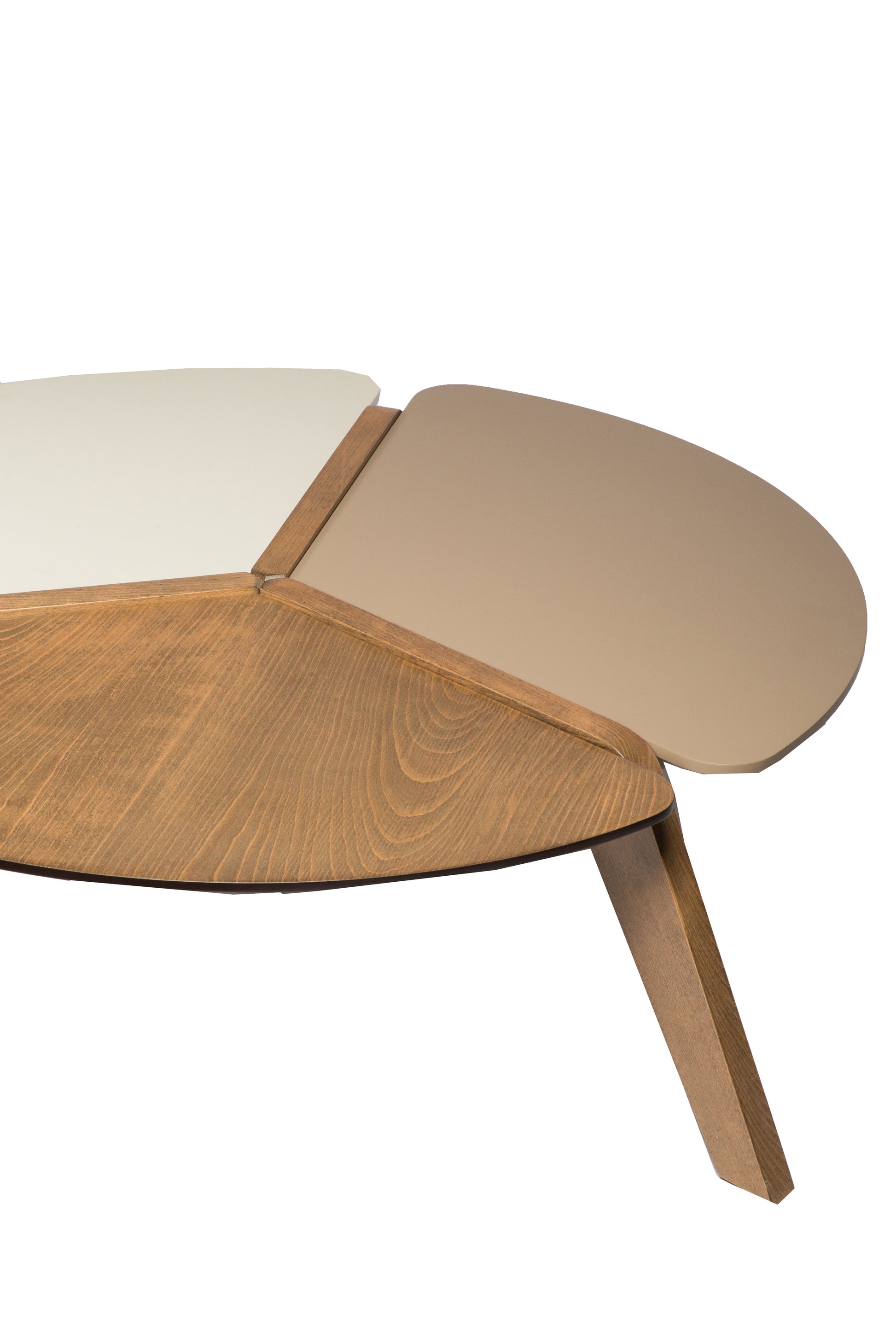 Elevate Your Living Room with Coffee Tables from like.furniture. Modern, Rustic & More!