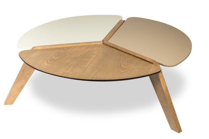 Elevate Your Living Room with Coffee Tables from like.furniture. Modern, Rustic & More!